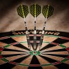 Viper The Freak Steel Tip Darts Knurled and Grooved Barrel - 22gms - 2 of 4