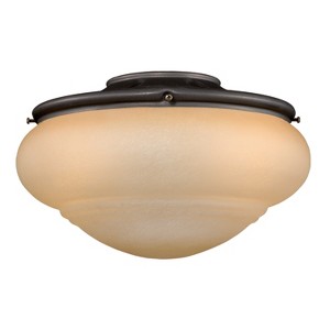 VAXCEL 2 Light Bronze Ceiling Fan Light Kit with Pull Chain - Not Universal - 1 of 2