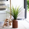 Nearly Natural 2-ft  UV Resistant Artificial Grass Plant (Indoor/Outdoor) - 4 of 4