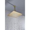 PAGED Wide Rain Stainless Steel Showerhead with High Pressure Arm for Bathroom,Decor Dual Shower Water Saving - 4 of 4