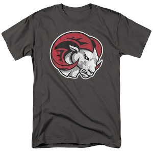 Men's Winston Salem State University Official Distressed Primary Logo T-Shirt - 1 of 4