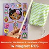 QUOKKA Magnetic Puzzles for Kids – Montessori Puzzles for Toddlers 3-5 – Preschool Game Learning Human Body Parts Anatomy Skeleton - 4 of 4
