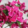 Gulches 6FT in Artificial Dark Pink Flower Green Leaf Bougainvillea Tree in Black Plastic Pot 1pc Set Faux Flowering Indoor Home Decor - 3 of 4