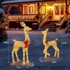 Karl Home 2-Piece Lighted Christmas Deer Family Decorations - 2 of 4