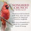 Songbird Selections Songbird Crunch Wild Bird Food 5 LB - 3 of 4