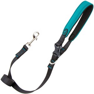 Gooby Escape Free Sport Leash Turquoise, 4 FT - 1 of 1