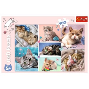 Trefl In the Cat World Kids Jigsaw Puzzle - 100pc - 1 of 4