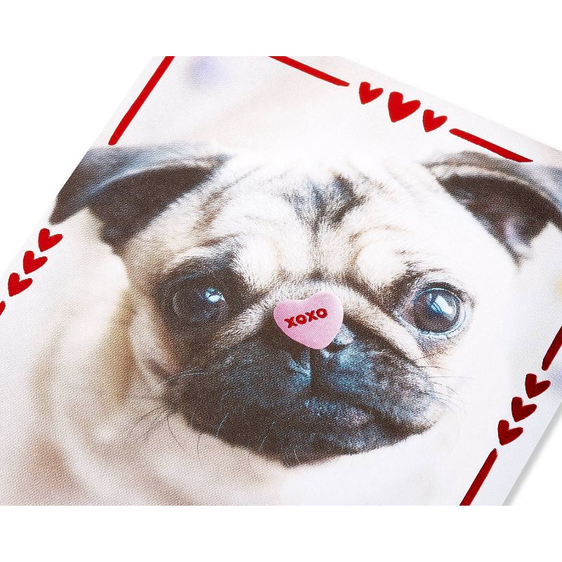 Valentine&#39;s Day Card Pug with Candy Heart, 6 of 7