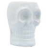 Sagebrook Home Ceramic Skull Vase - Contemporary Decorative Skull Vase for Succulents or Small Plants - Indoor or Outdoor Skull Vase - 2 of 4