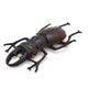 CWG | Stag Beetle, Very Nice Rubber Reproduction    2 3/4"   CWG03 B13 - 2 of 4