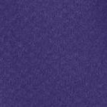 college purple