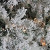 Northlight 12' Pre-Lit Heavily Flocked Pine Medium Artificial Christmas Tree - Clear Lights - image 2 of 3