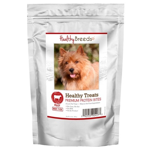 are norwich terriers healthy