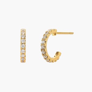 Bearfruit Jewelry Sterling Silver 18k Gold Plated Miranda Single Hoop Earrings - 1 of 4