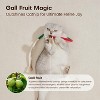 Cat Toys Chew Ropes 3Pcs with Refillable Natural Catnip, Safe Teeth Cleaning Toy for Indoor Kittens - 4 of 4