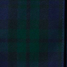 classic navy/evergreen plaid