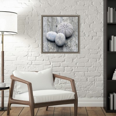 Gray and White Seashell Canvas Wall Art Print
