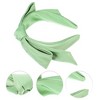 Unique Bargains Women's Classic Double Layer Bow Headband 5.91"x1.38" 1 Pc - 2 of 4