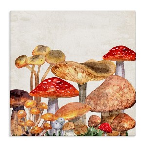 Stupell Industries Rustic Woodland Mushrooms, 30" x 30" - 1 of 4