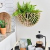 Storied Home Woven Cane Wall Pocket Natural: Iron Frame, Abstract Modern Decor, Dry Dust Care - 2 of 4