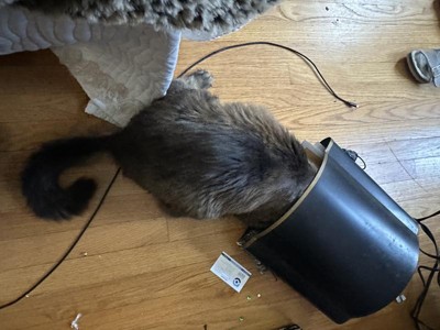 Guest review image 5 of 6, zoom in