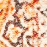 cream/rust