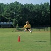Shield Over/Under Hurdles, Set of 5, White - 3 of 3