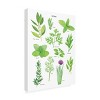 Trademark Fine Art - Sarah Frances Herbs Canvas Art - 4 of 4