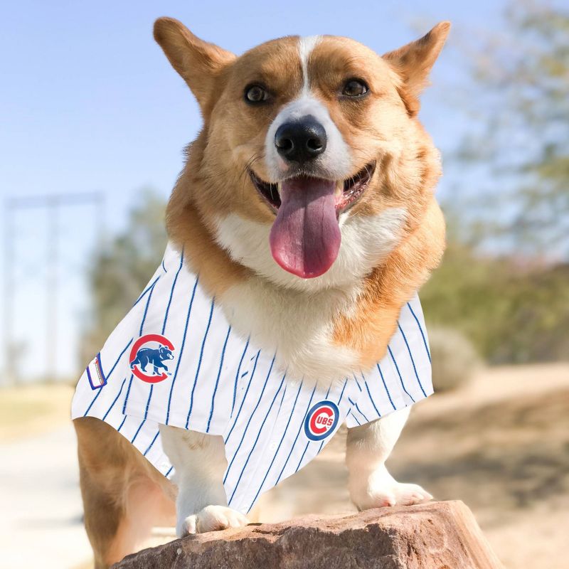 MLB Chicago Cubs Baseball Pets Jersey, 4 of 5
