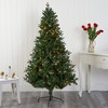 Nearly Natural 6-ft Vermont Fir Artificial Christmas Tree with 250 Clear LED Lights - 4 of 4