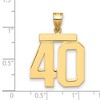Black Bow Jewelry 14k Yellow Gold, Athletic Collection, Large Polished Number 40 Pendant - 2 of 3