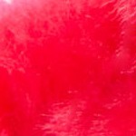 pink monkey