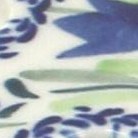 blue tulip