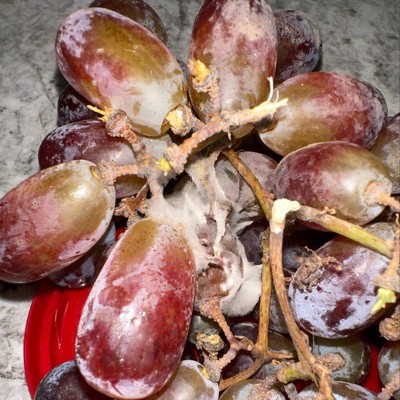 Red Seedless Grapes, 1 lb - Fry's Food Stores