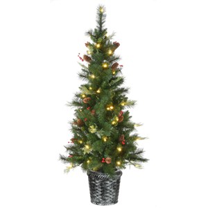 5' Prelit LED Buzzard Pine Entrance Tree White Lights - National Tree Company - 1 of 4