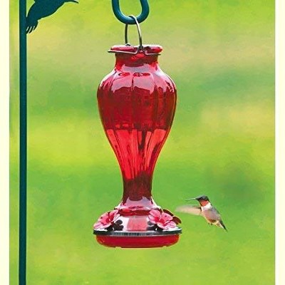 More Birds Red Glass and Metal Blossom Hummingbird Feeder