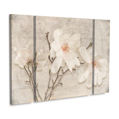 Trademark Fine Art -LightBoxJournal 'Spring Magnolia' Multi Panel Art Set Large 3 Piece