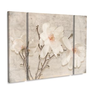 Trademark Fine Art -LightBoxJournal 'Spring Magnolia' Multi Panel Art Set Large 3 Piece - 1 of 3
