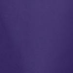 midnight violet