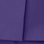midnight violet