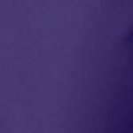midnight violet
