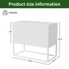 Dovelina White Modern Metal Rectangular Planter for Flowers or Shrubs in Patio&Garden - 4 of 4