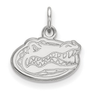 Black Bow Jewelry 14k White Gold Florida Gators NCAA Extra Small Pendant - 1 of 3