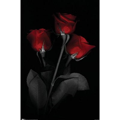trends-international-red-rose-magnetic-framed-wall-poster-prints-target