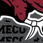 south carolina gamecocks