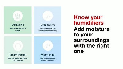 White and Blue Warm Steam Vaporizer with Night Light