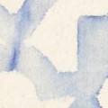 ivory/blue