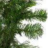 Northlight 24" Unlit Snow Mountain Pine Artificial Christmas Wreath - 2 of 3