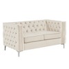 Modern 61 in.  Deep Dutch Velvet 2-Seater Loveseat with Iron Legs - Morden Fort - 3 of 4