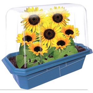 Unique Gardener Watermelon Growing Kit - Indoor/Outdoor Gardening Starter  Set w Seeds, Soil, Planter - Home Garden Plant Growing- Fun Kit for  Families : Target